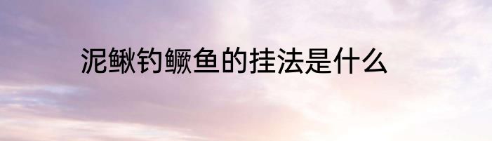 泥鳅钓鳜鱼的挂法是什么
