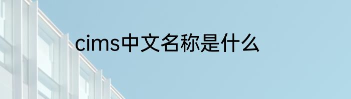 cims中文名称是什么
