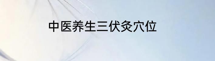 中医养生三伏灸穴位