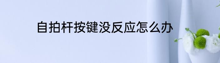 自拍杆按键没反应怎么办
