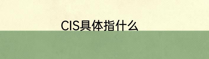 CIS具体指什么