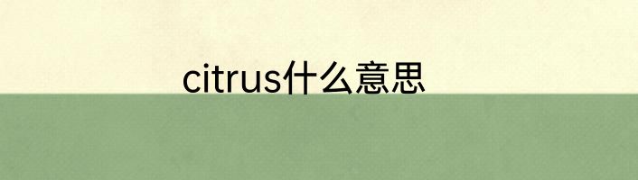 citrus什么意思