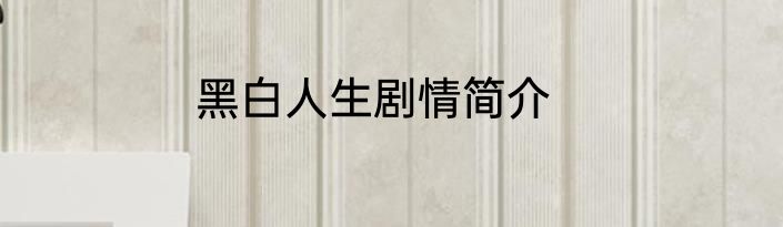 黑白人生剧情简介