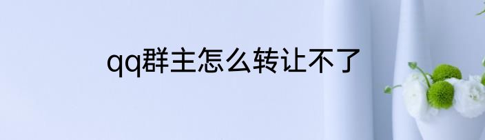 qq群主怎么转让不了