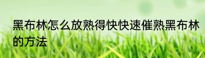 黑布林怎么放熟得快快速催熟黑布林的方法