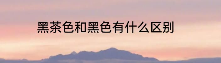 黑茶色和黑色有什么区别