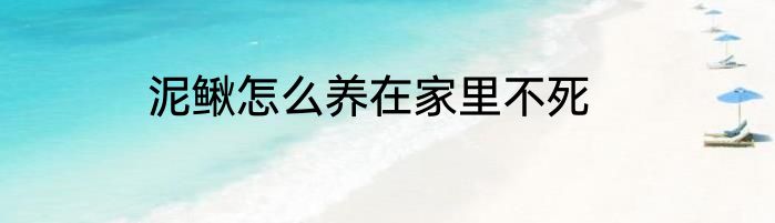 泥鳅怎么养在家里不死