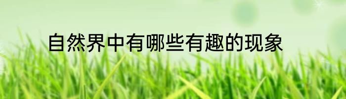 自然界中有哪些有趣的现象