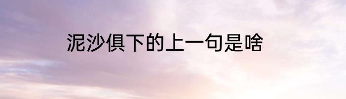 泥沙俱下的上一句是啥