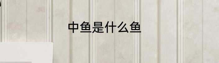 中鱼是什么鱼