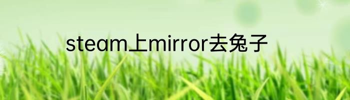 steam上mirror去兔子