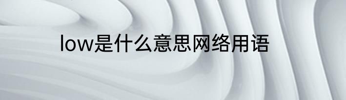 low是什么意思网络用语