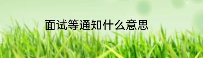 面试等通知什么意思