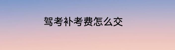 驾考补考费怎么交