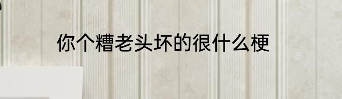 你个糟老头坏的很什么梗