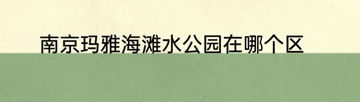 南京玛雅海滩水公园在哪个区