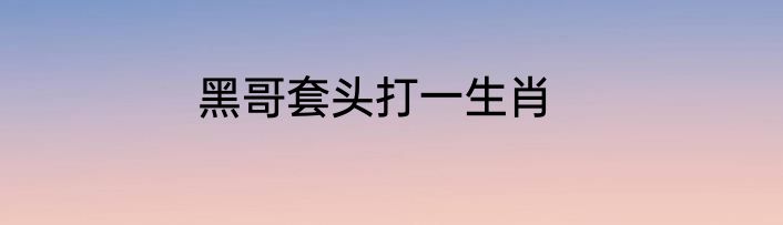 黑哥套头打一生肖