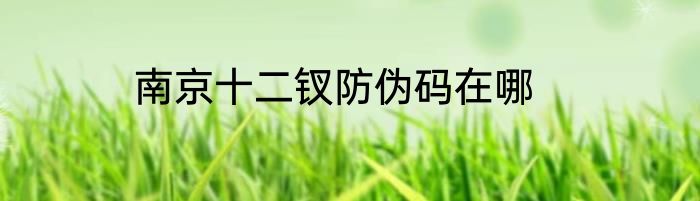南京十二钗防伪码在哪