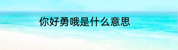 你好勇哦是什么意思