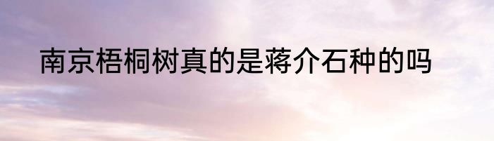 南京梧桐树真的是蒋介石种的吗