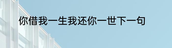 你借我一生我还你一世下一句