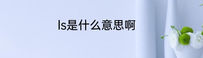 ls是什么意思啊