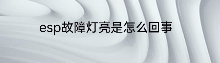 esp故障灯亮是怎么回事