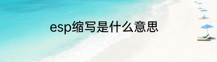 esp缩写是什么意思
