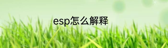 esp怎么解释