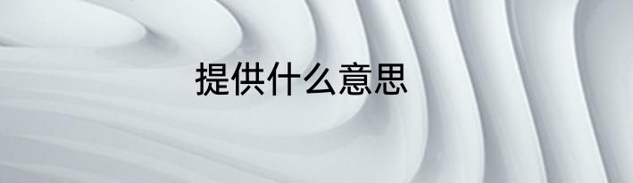 提供什么意思