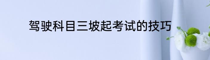 驾驶科目三坡起考试的技巧