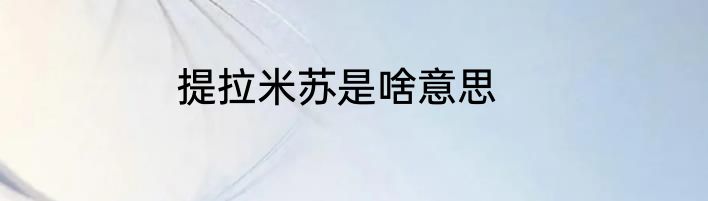 提拉米苏是啥意思