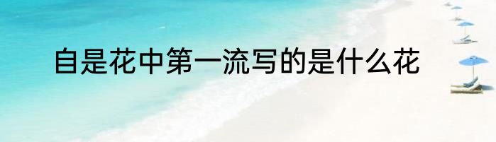自是花中第一流写的是什么花