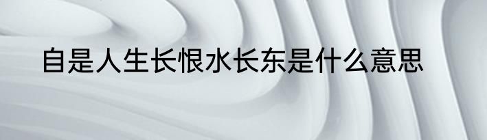 自是人生长恨水长东是什么意思