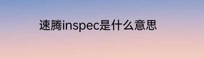 速腾inspec是什么意思