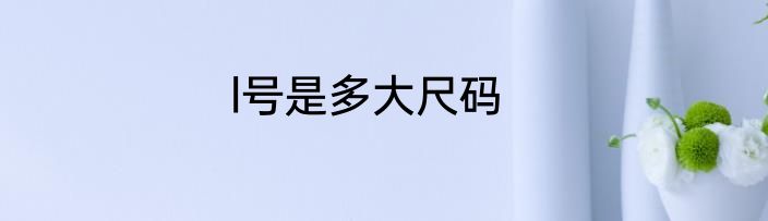 l号是多大尺码