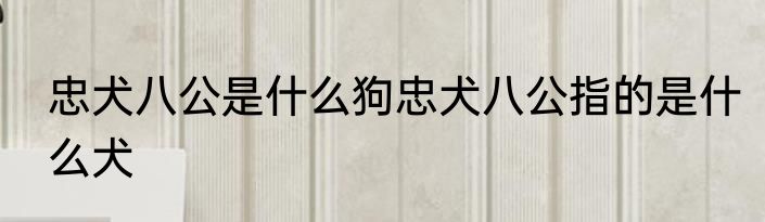 忠犬八公是什么狗忠犬八公指的是什么犬