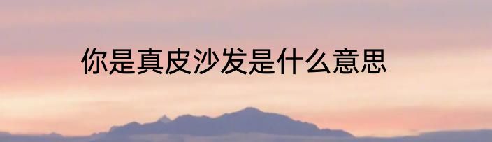 你是真皮沙发是什么意思