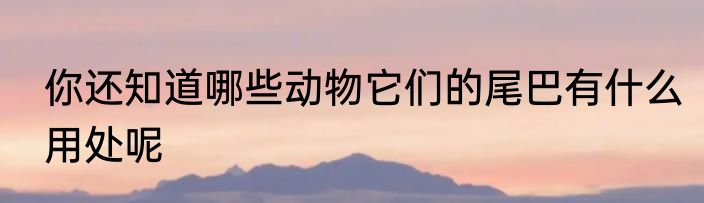 你还知道哪些动物它们的尾巴有什么用处呢