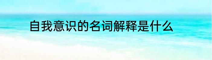 自我意识的名词解释是什么