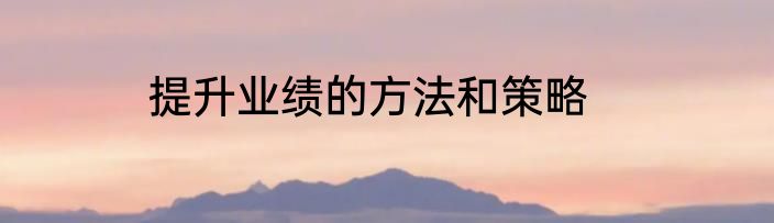 提升业绩的方法和策略