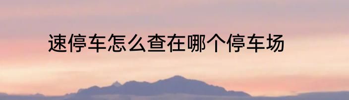 速停车怎么查在哪个停车场