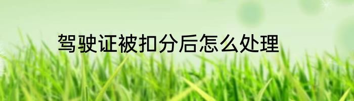 驾驶证被扣分后怎么处理