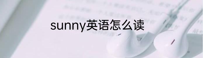 sunny英语怎么读