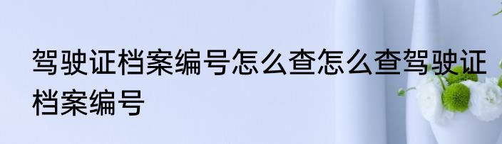 驾驶证档案编号怎么查怎么查驾驶证档案编号