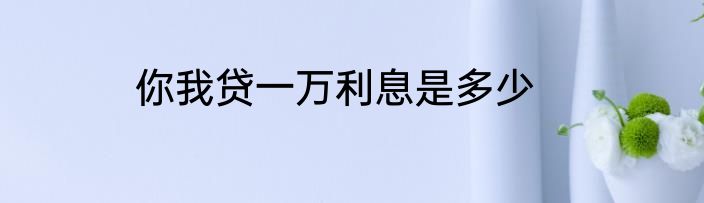 你我贷一万利息是多少