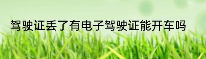 驾驶证丢了有电子驾驶证能开车吗