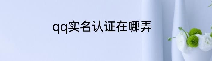 qq实名认证在哪弄