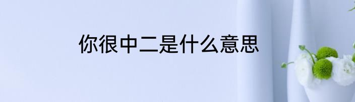 你很中二是什么意思
