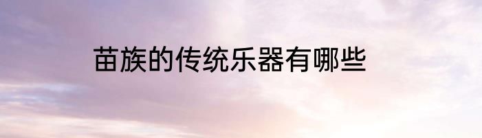 苗族的传统乐器有哪些